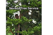 Nevada Tree Service image 2
