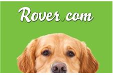 Rover.com - Chicago Dog Boarding image 1