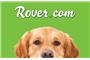 Rover.com - Chicago Dog Boarding logo