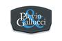Plevin & Gallucci logo