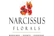 ACCENTS BY NARCISSUS FLORALS image 1