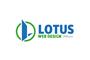 Lotus Web Design logo