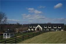 Greenbriar Veterinary Hospital & Luxury Pet Resort image 3