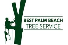 Best Palm Beach Tree Service image 1