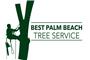 Best Palm Beach Tree Service logo