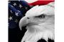 American Eagle Insurance logo
