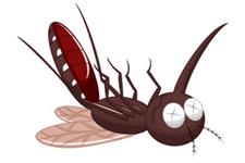 The Bug Man, LLC image 2