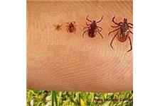 Complete Pest Control Services image 3