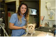Noah's Westside Animal Hospital image 3