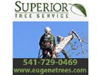 Superior Tree Service image 1