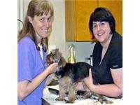 Smyrna Animal Hospital image 2