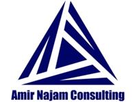 Amir Najam Consulting image 1