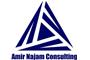 Amir Najam Consulting logo
