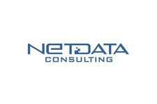 NetData Consulting image 1