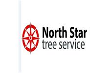 North Star Tree Service image 1