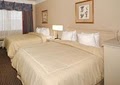 Comfort Suites Kingwood / Humble image 5