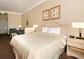 Comfort Suites Kingwood / Humble image 7