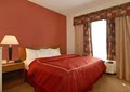Comfort Suites image 4