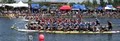 Dragon Boat Club of Boston image 1