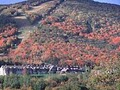 Killington Grand Resort Hotel image 5