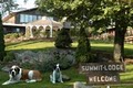 Summit Lodge image 1