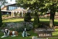 Summit Lodge logo