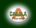 A. Casola Landscaping logo