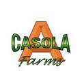 A. Casola Landscaping image 2