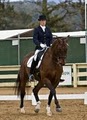 AP Dressage image 2