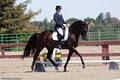 AP Dressage image 3