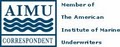 American Institute of Marine logo