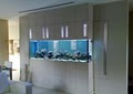 Aquarium Doctors Fish Tank Set up and maintenance service image 2