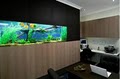 Aquarium Doctors Fish Tank Set up and maintenance service image 6