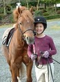 Archway Equestrian Sports, LLC image 1