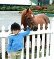Archway Equestrian Sports, LLC image 2