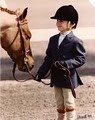 Archway Equestrian Sports, LLC image 4
