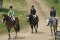 Archway Equestrian Sports, LLC image 5