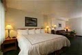Best Western GranTree Inn image 3