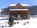 Blue Ridge Vacation Cabins and Realty image 2