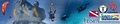 California sport adventures scubadive snorkeling paragliding skydiving bungee logo