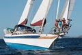 Caribbean Cruising Club image 2