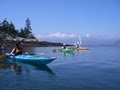 Castine Kayak Adventures image 1