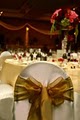 Chair Cover Express image 3