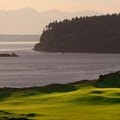 Chambers Bay Golf Course image 2