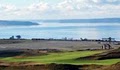 Chambers Bay Golf Course image 4