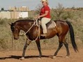Chelsie Natural Horsemanship image 7