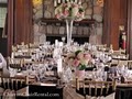 Chiavari Chair Rental image 4