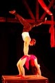 Cirque School image 5