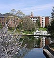 Clemson University image 7