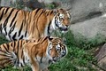 Cleveland Metroparks Zoo image 2